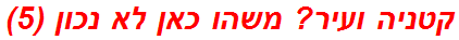 קטניה ועיר? משהו כאן לא נכון (5)