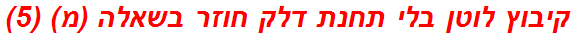 קיבוץ לוטן בלי תחנת דלק חוזר בשאלה (מ) (5)