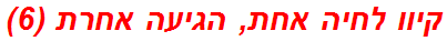 קיוו לחיה אחת, הגיעה אחרת (6)