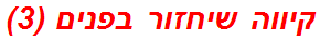 קיווה שיחזור בפנים (3)