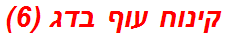 קינוח עוף בדג (6)