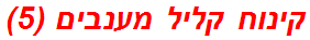 קינוח קליל מענבים (5)