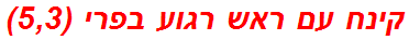 קינח עם ראש רגוע בפרי (5,3)