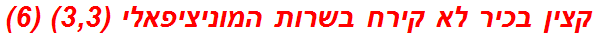 קצין בכיר לא קירח בשרות המוניציפאלי (3,3) (6)