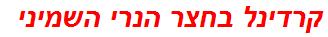 קרדינל בחצר הנרי השמיני