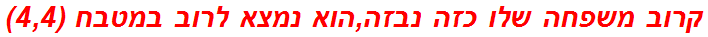 קרוב משפחה שלו כזה נבזה,הוא נמצא לרוב במטבח (4,4)