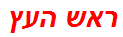 ראש העץ