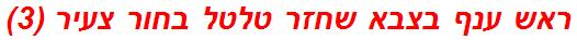 ראש ענף בצבא שחזר טלטל בחור צעיר (3)