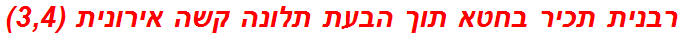 רבנית תכיר בחטא תוך הבעת תלונה קשה אירונית (3,4)