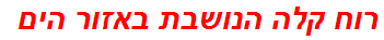 רוח קלה הנושבת באזור הים