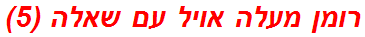 רומן מעלה אויל עם שאלה (5)