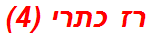 רז כתרי (4)