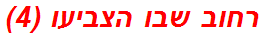 רחוב שבו הצביעו (4)