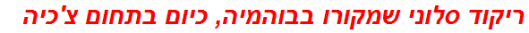 ריקוד סלוני שמקורו בבוהמיה, כיום בתחום צ'כיה