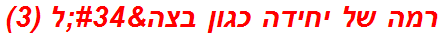 רמה של יחידה כגון בצה"ל (3)