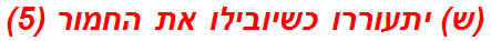 (ש) יתעוררו כשיובילו את החמור (5)