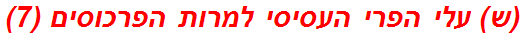 (ש) עלי הפרי העסיסי למרות הפרכוסים (7)