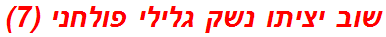 שוב יציתו נשק גלילי פולחני (7)