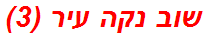 שוב נקה עיר (3)