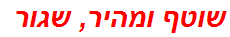 שוטף ומהיר, שגור