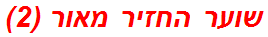 שוער החזיר מאור (2)