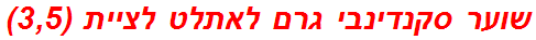 שוער סקנדינבי גרם לאתלט לציית (3,5)