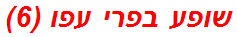 שופע בפרי עפו (6)