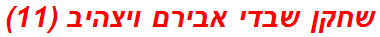 שחקן שבדי אבירם ויצהיב (11)