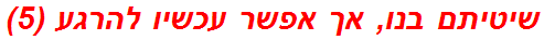 שיטיתם בנו, אך אפשר עכשיו להרגע (5)