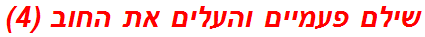 שילם פעמיים והעלים את החוב (4)