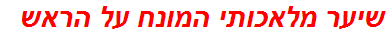 שיער מלאכותי המונח על הראש