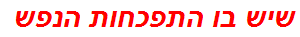 שיש בו התפכחות הנפש