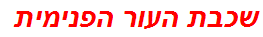 שכבת העור הפנימית