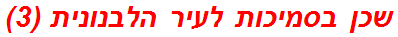 שכן בסמיכות לעיר הלבנונית (3)