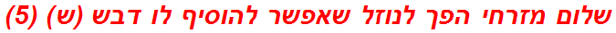 שלום מזרחי הפך לנוזל שאפשר להוסיף לו דבש (ש) (5)