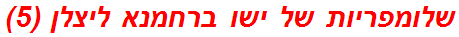 שלומפריות של ישו ברחמנא ליצלן (5)