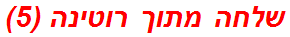 שלחה מתוך רוטינה (5)