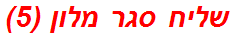 שליח סגר מלון (5)