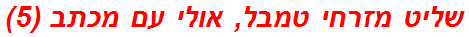 שליט מזרחי טמבל, אולי עם מכתב (5)