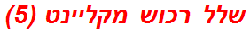 שלל רכוש מקליינט (5)