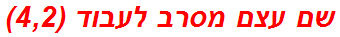 שם עצם מסרב לעבוד (4,2)