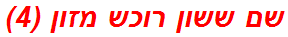 שם ששון רוכש מזון (4)