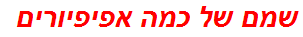 שמם של כמה אפיפיורים