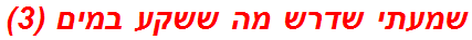 שמעתי שדרש מה ששקע במים (3)