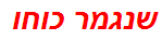 שנגמר כוחו