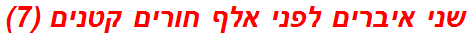 שני איברים לפני אלף חורים קטנים (7)