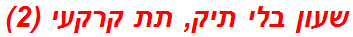 שעון בלי תיק, תת קרקעי (2)