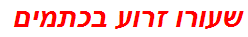 שעורו זרוע בכתמים