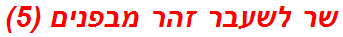 שר לשעבר זהר מבפנים (5)