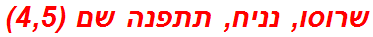 שרוסו, נניח, תתפנה שם (4,5)